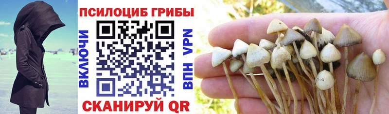 Галлюциногенные грибы прущие грибы  Купить закладки  Спасск 