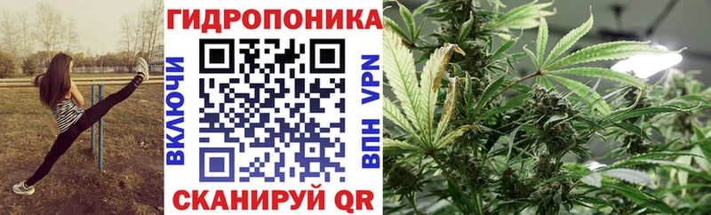 Купить закладки  Спасск  Каннабис планчик 